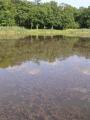 Etang Véry (Boucq) ©pnrl/m.l'hospitalier